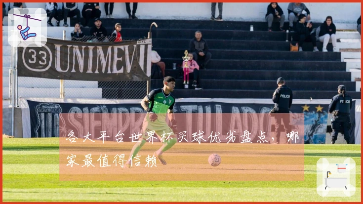 各大平台世界杯买球优劣盘点，哪家最值得信赖
