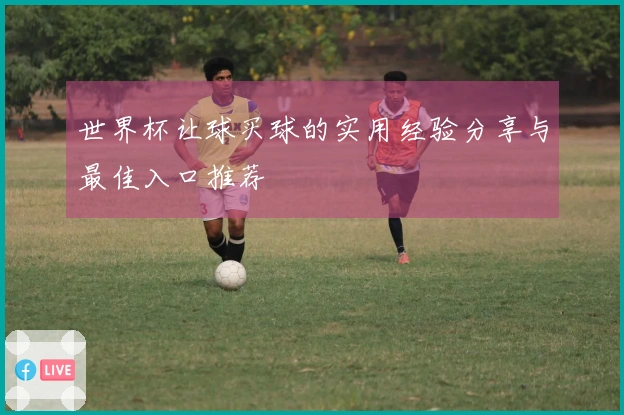 世界杯让球买球的实用经验分享与最佳入口推荐