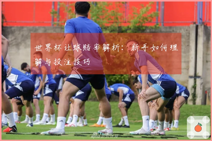 世界杯让球赔率解析：新手如何理解与投注技巧