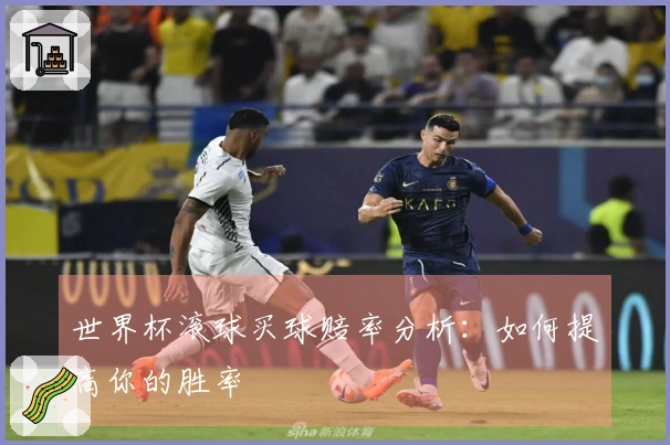 世界杯滚球买球赔率分析：如何提高你的胜率