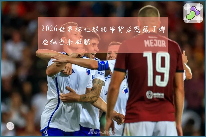 2026世界杯让球赔率背后隐藏了哪些秘密和猫腻