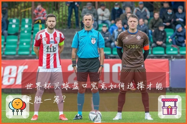 世界杯买球盘口究竟如何选择才能更胜一筹？