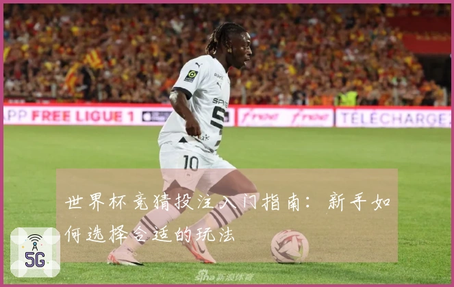 世界杯竞猜投注入门指南：新手如何选择合适的玩法